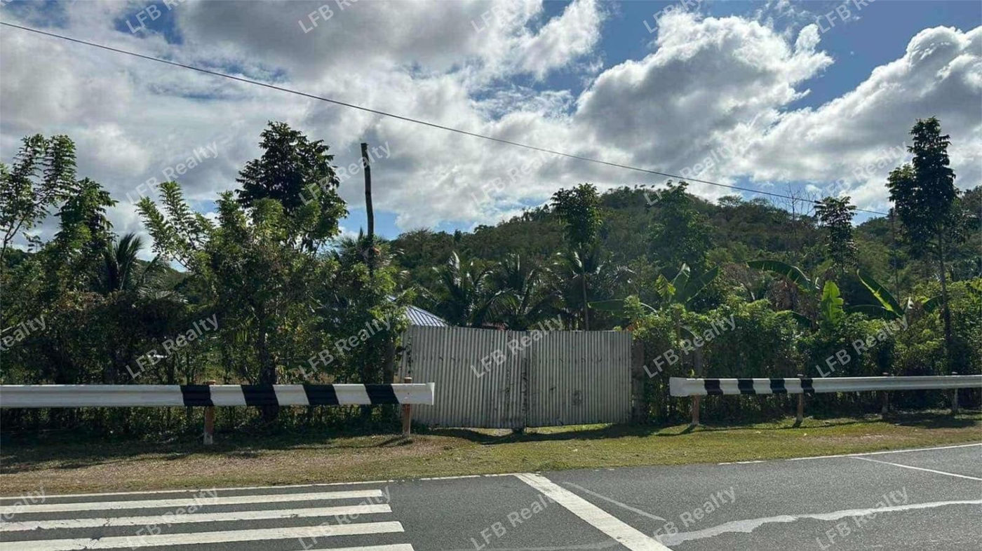 1.64-Hectare Commercial Lot for Sale along Marilaque Highway, Sampaloc, Tanay – photo 2
