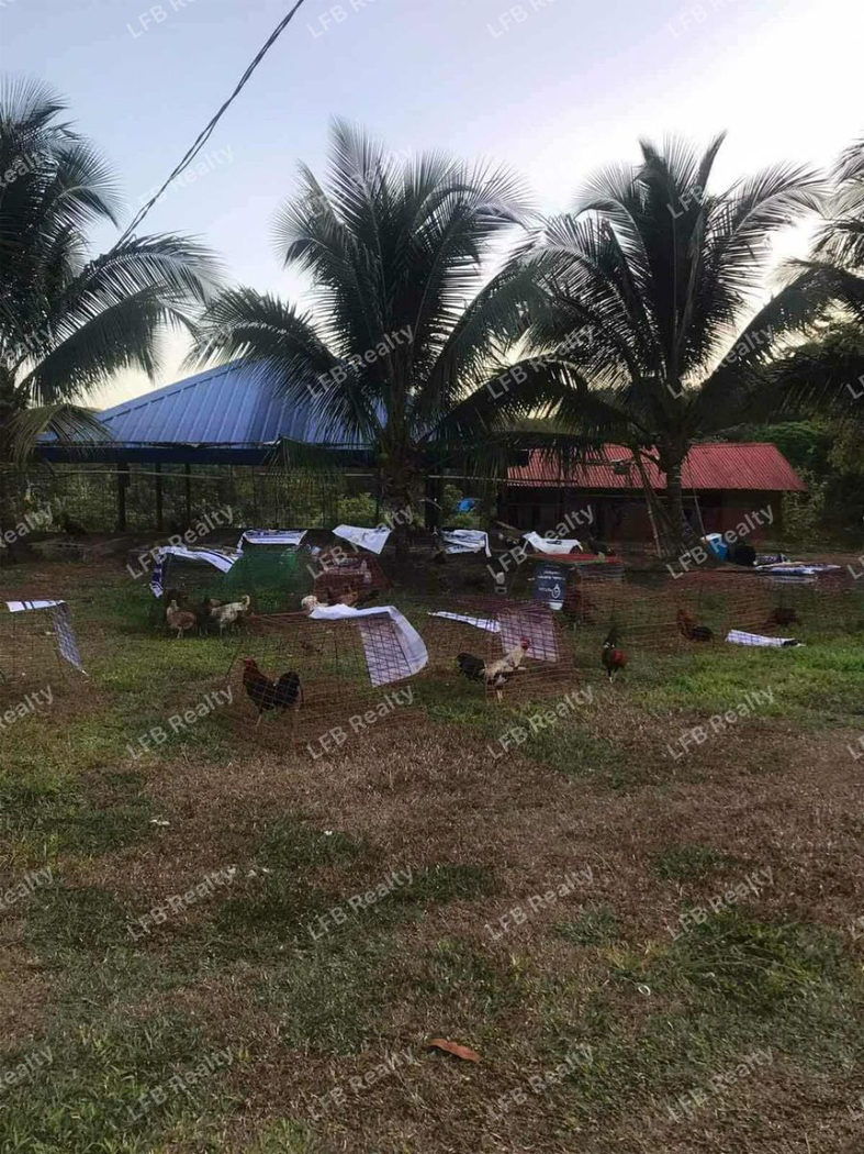 1.64-Hectare Commercial Lot for Sale along Marilaque Highway, Sampaloc, Tanay – photo 3