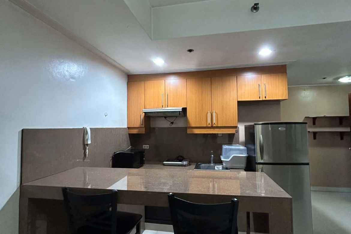 1 Bedroom Condo for Rent in Ermita, Manila, Metro Manila near LRT-1 Pedro Gil photo 8