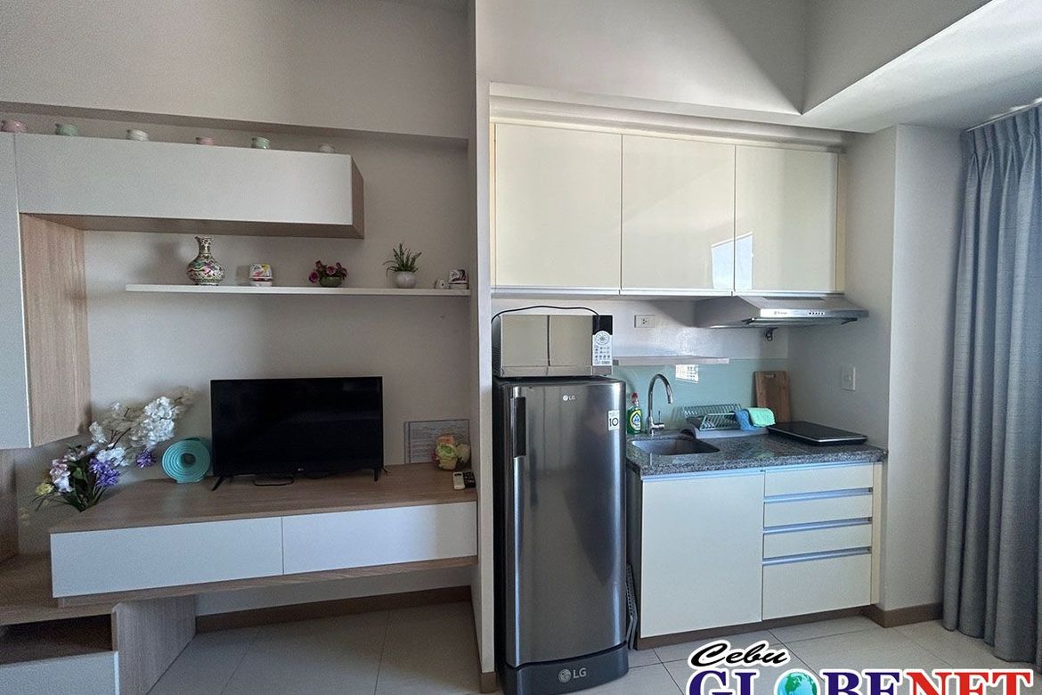 1 Bedroom Condo for Rent in Hippodromo, Cebu City, Cebu photo 5