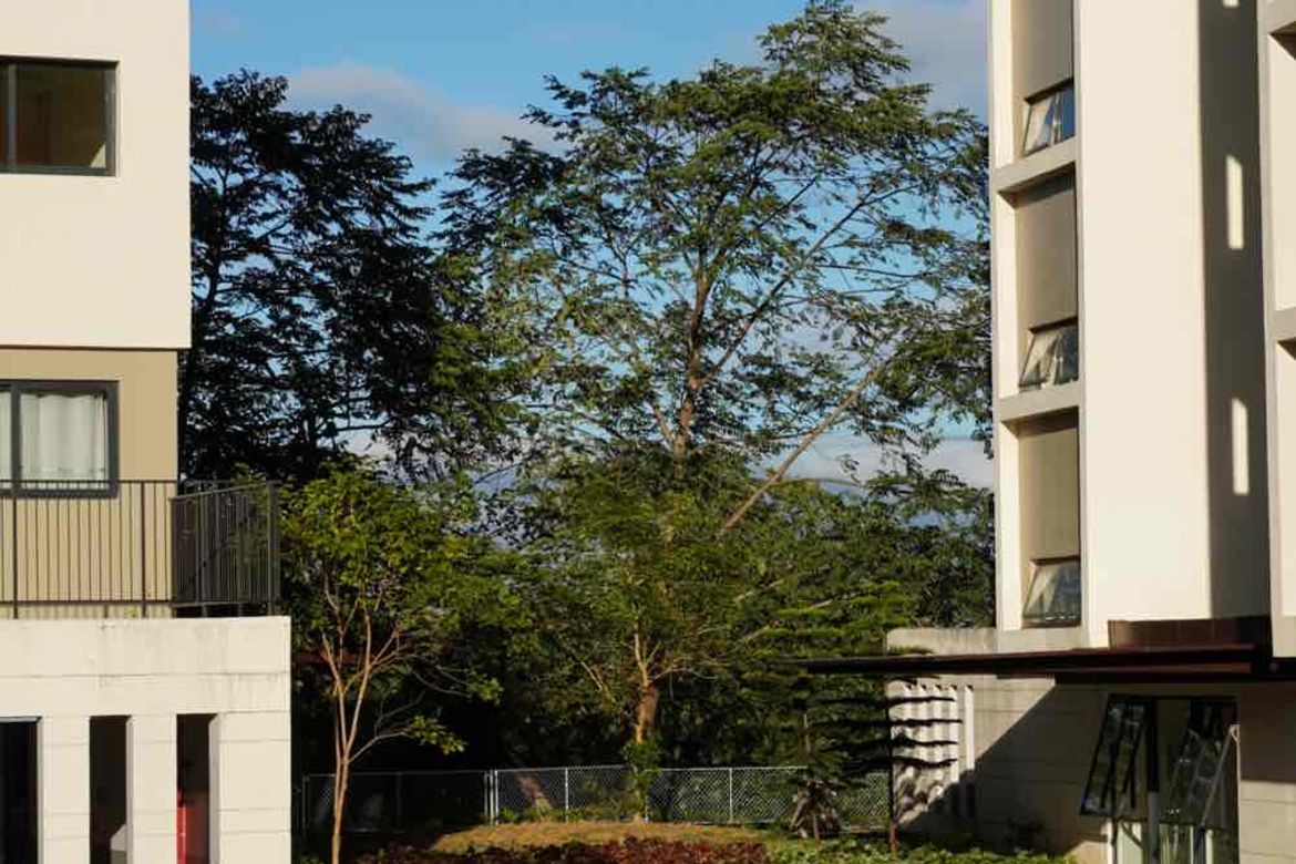 1 Bedroom Condo for Sale in Tranca, Talisay, Batangas – photo 5