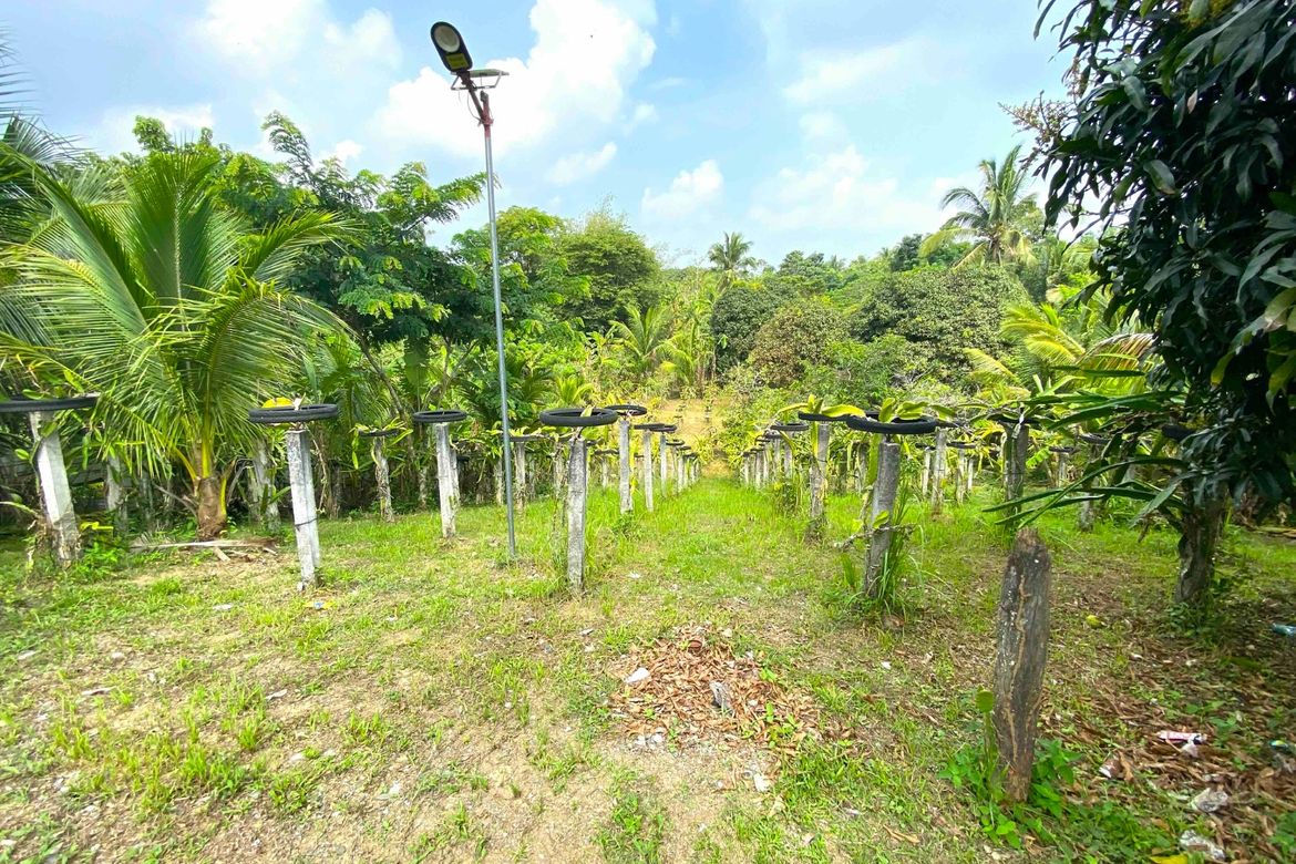 1 Bedroom House for Sale in Minantok Kanluran, Amadeo, Cavite – photo 8