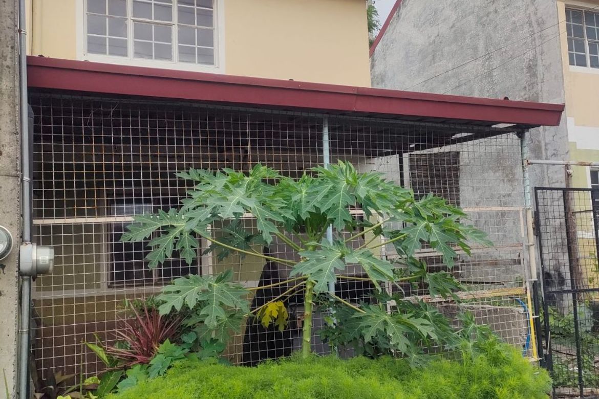 1 Bedroom House for Sale in Muzon, San Jose del Monte, Bulacan – photo 3