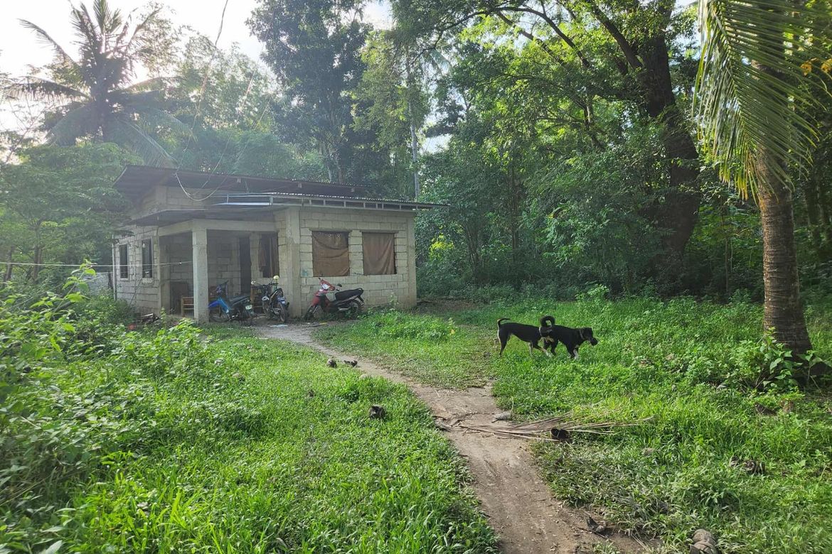 1 Bedroom House for Sale in Poblacion, Zamboanguita, Negros Oriental