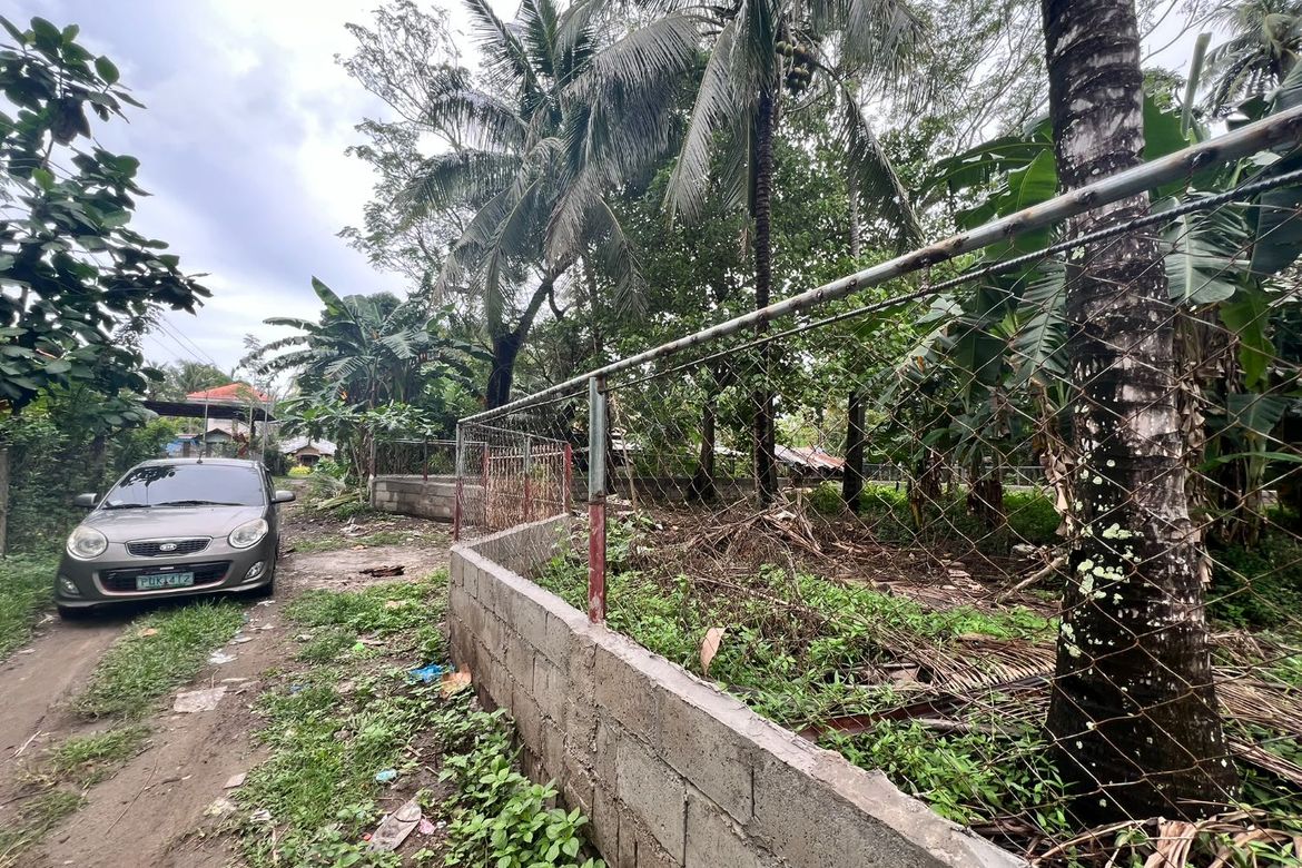 1 Bedroom House for Sale in Poblacion, Zamboanguita, Negros Oriental – photo 7