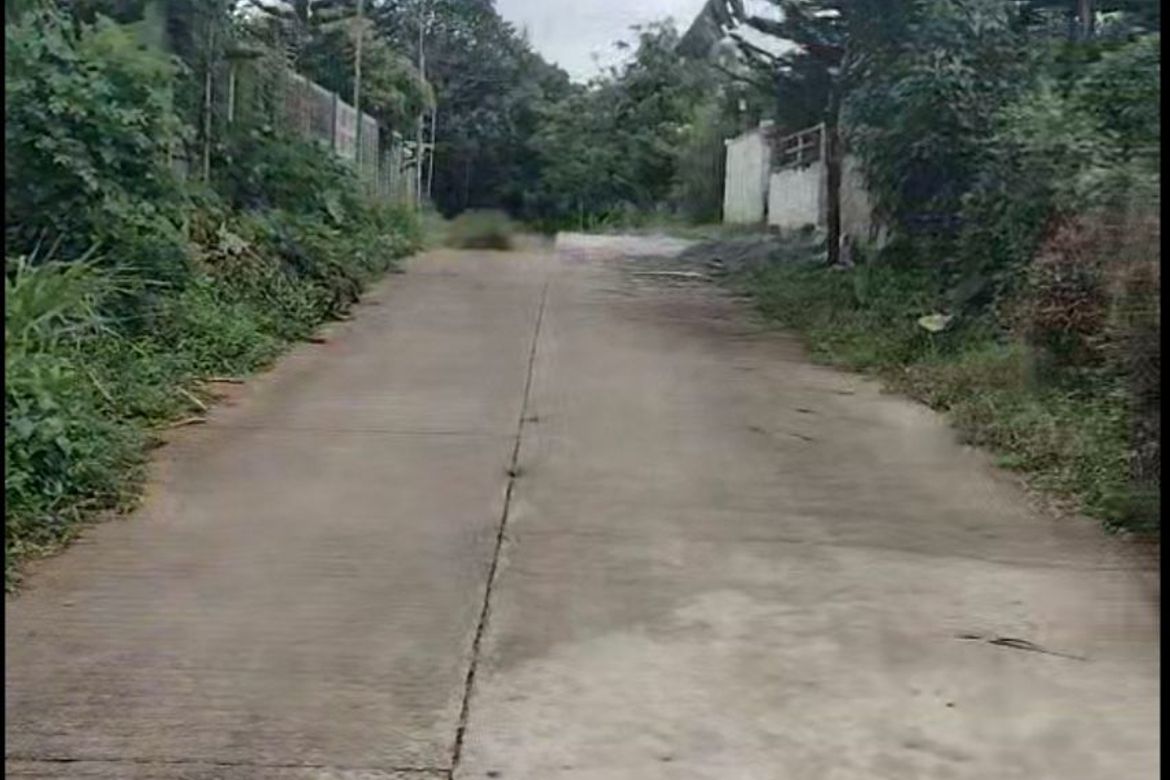 1 Bedroom House for Sale in Talon, Amadeo, Cavite – photo 2
