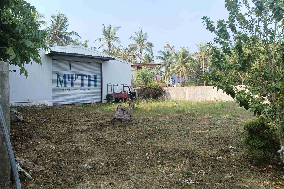 1 Bedroom Warehouse / Factory for Sale in Lourdes, Panglao, Bohol – photo 2