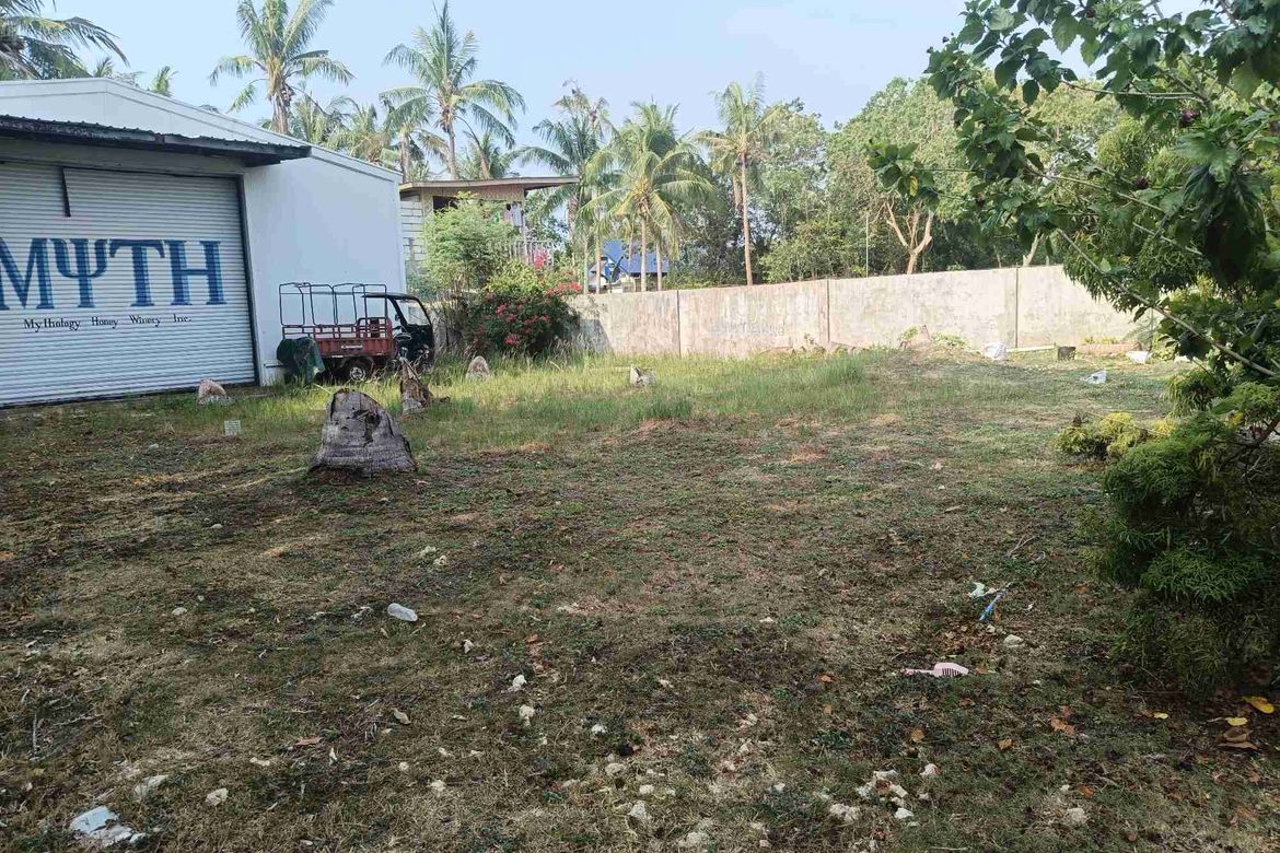 1 Bedroom Warehouse / Factory for Sale in Lourdes, Panglao, Bohol – photo 3