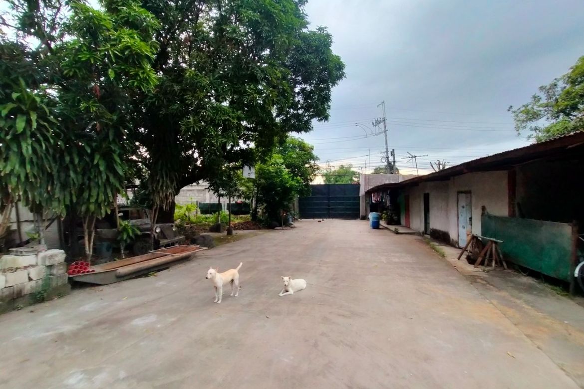 1 Bedroom Warehouse / Factory for Sale in Santo Tomas, Biñan, Laguna – photo 7