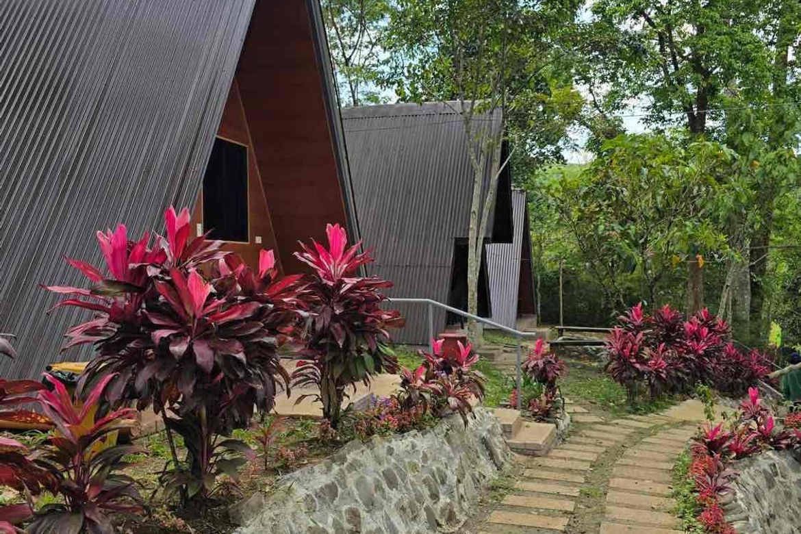 12 Bedroom Shophouse for Sale in Datu Salumay, Davao City, Davao del Sur – photo 5