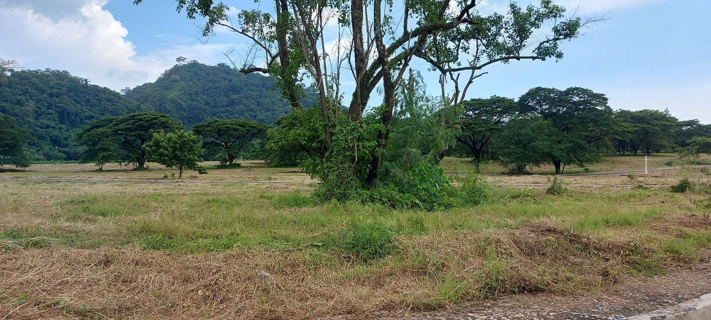 120 SQM Residential Lot with Mountain View for Sale in Palo Alto, Baras, Rizal – photo 11