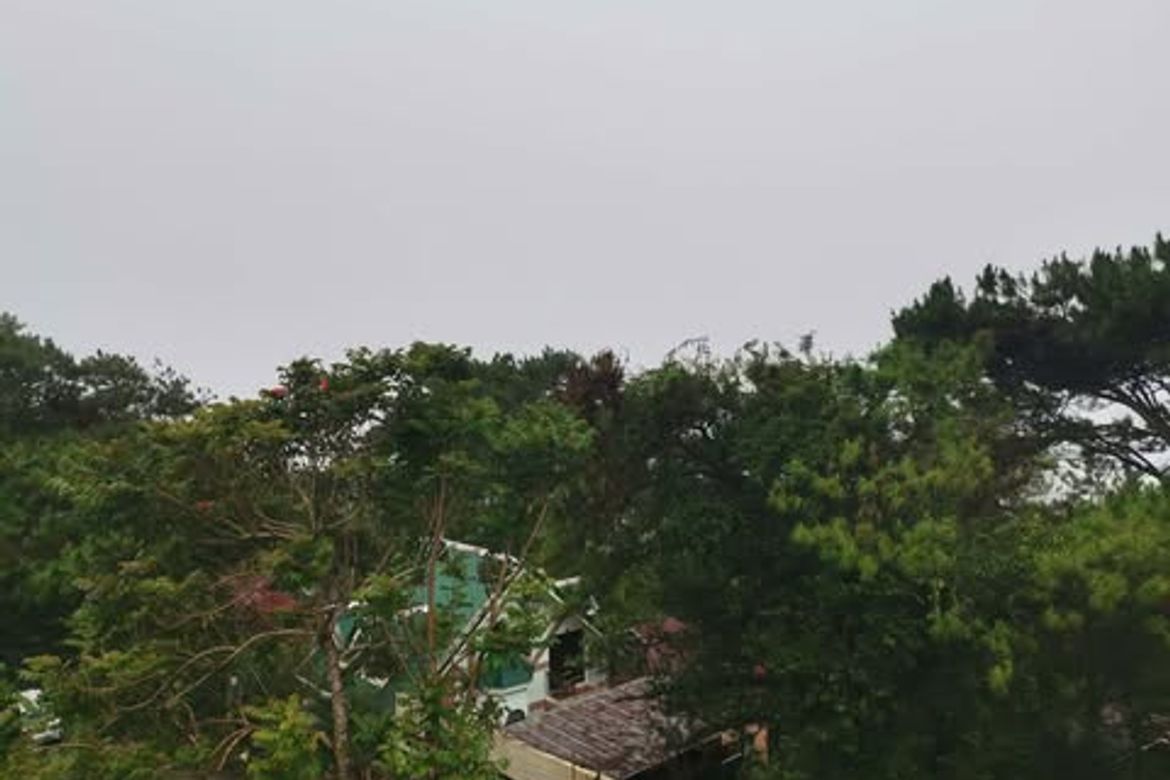 14 Bedroom Apartment for Sale in Loakan Proper, Baguio, Benguet – photo 4