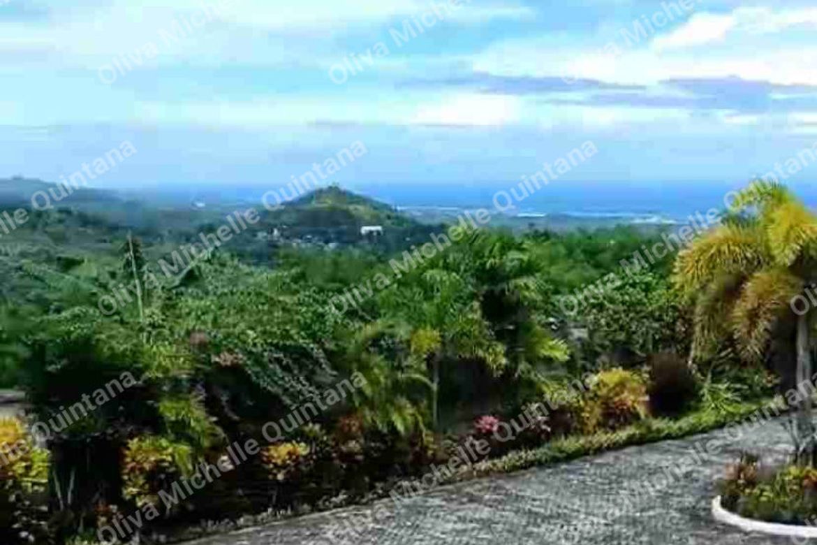 16 Bedroom House for Sale in Poblacion, Danao, Cebu – photo 3