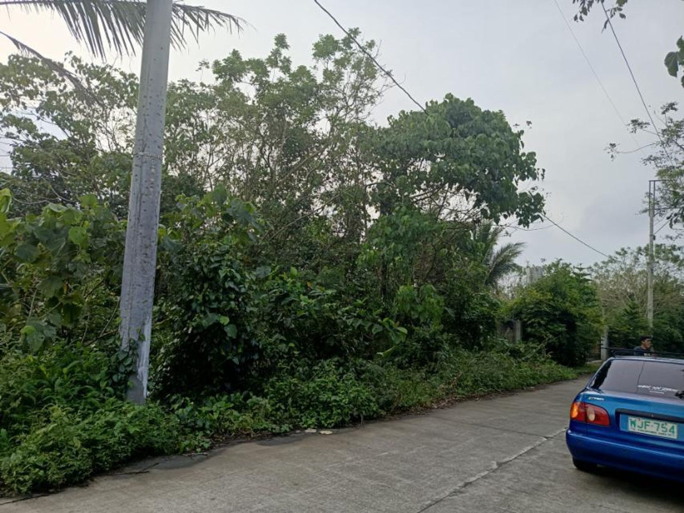 1,836 SQM Flat Lot for Sale in Indang, Cavite, 10 Minutes from Tagaytay – photo 3