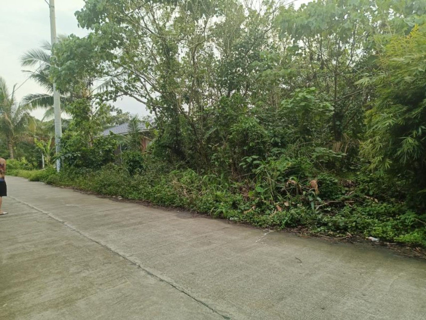 1,836 SQM Flat Lot for Sale in Indang, Cavite, 10 Minutes from Tagaytay – photo 7