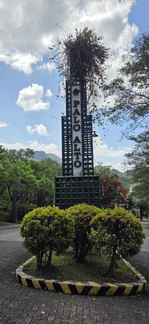 199 SQM Titled Residential Lot for Sale in Palo Alto, Baras, Rizal