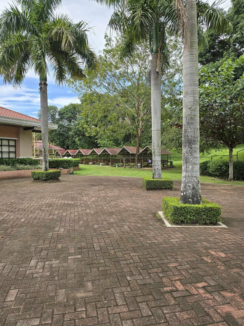 199 SQM Titled Residential Lot for Sale in Palo Alto, Baras, Rizal – photo 18