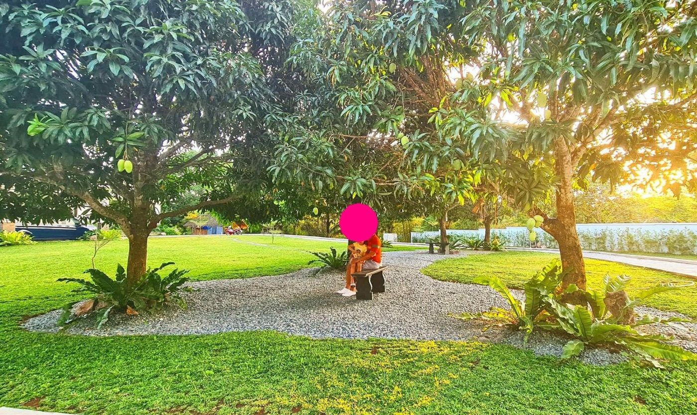2.5-Hectare Farm Estate with Farmhouse for Sale in Bendita I, Magallanes, Cavite – photo 20