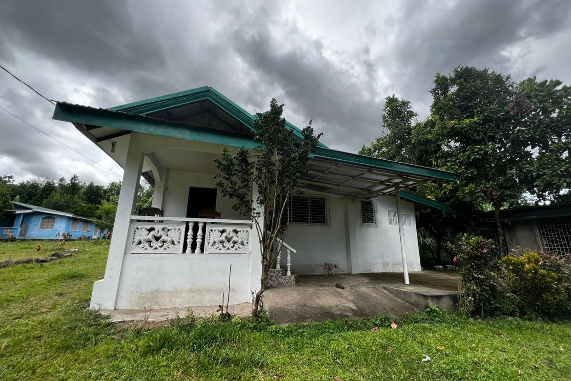 2 Bedroom House for Sale in Balayagmanok, Bacong, Negros Oriental