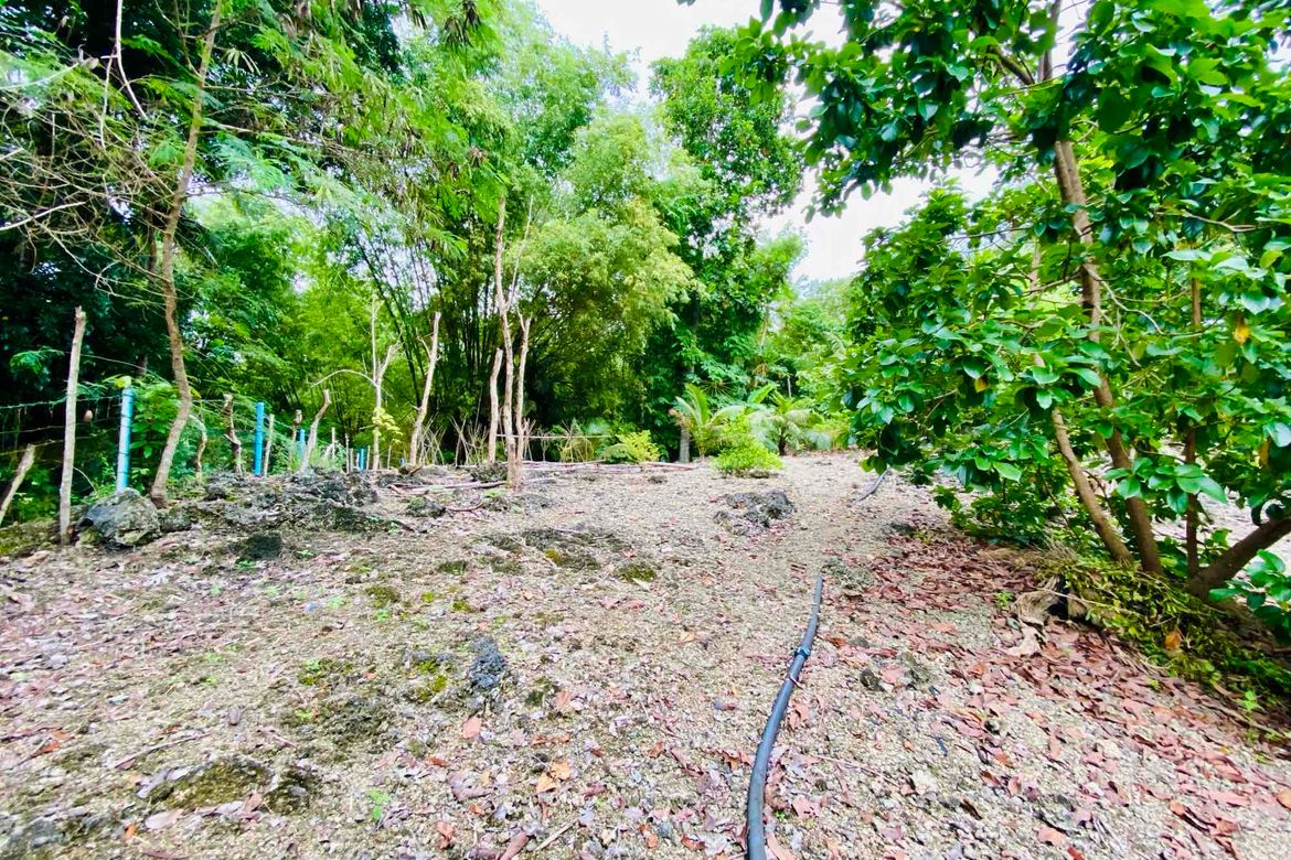 2 Bedroom House for Sale in Calvario, Loay, Bohol – photo 4