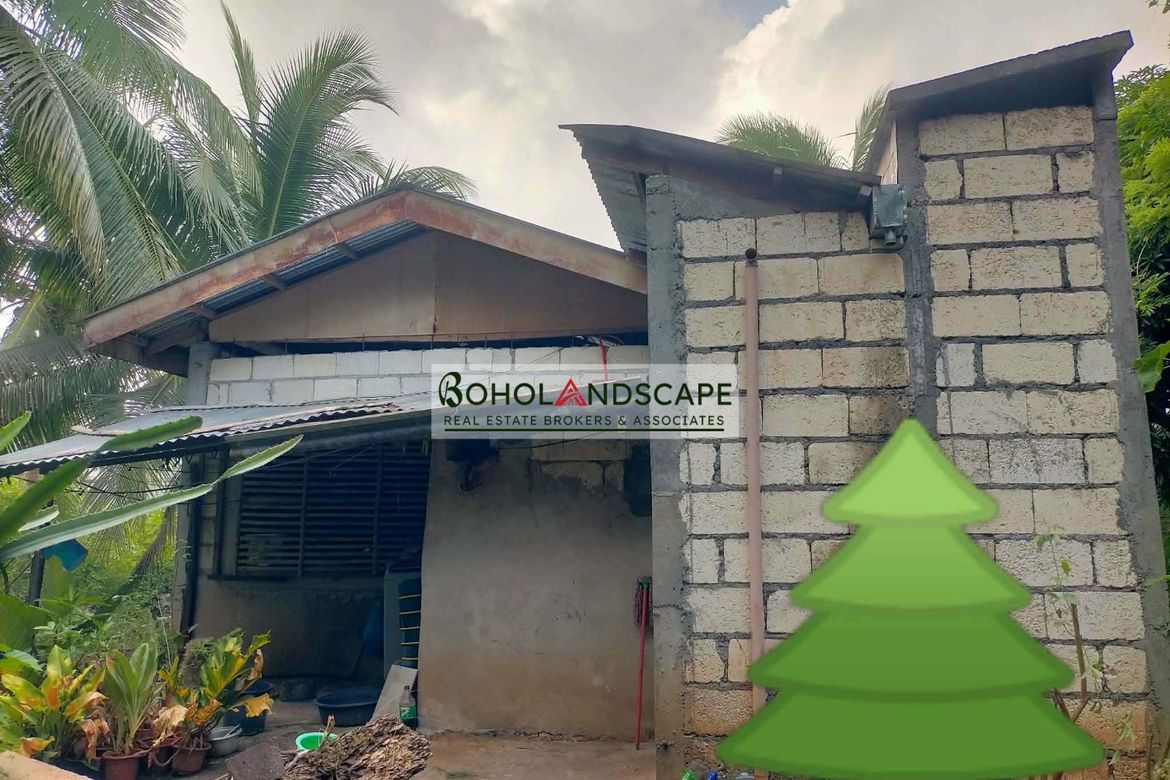 2 Bedroom House for Sale in Mayacabac, Dauis, Bohol – photo 3