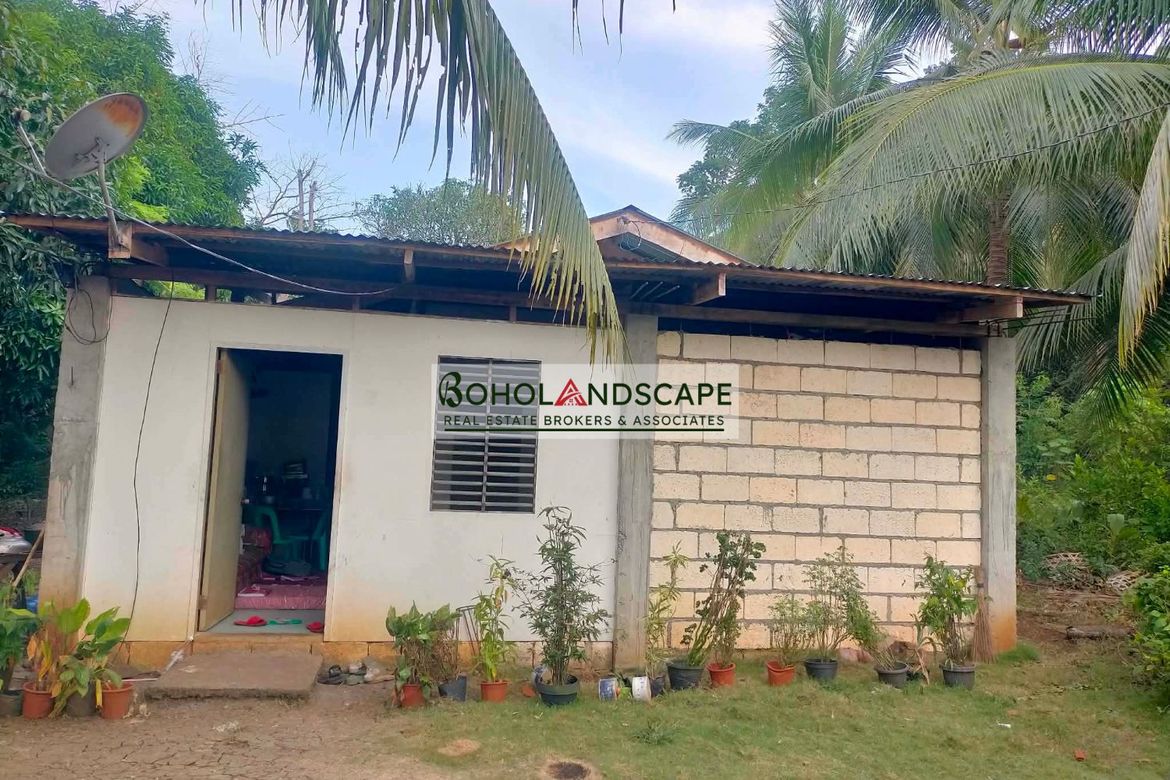 2 Bedroom House for Sale in Mayacabac, Dauis, Bohol – photo 5