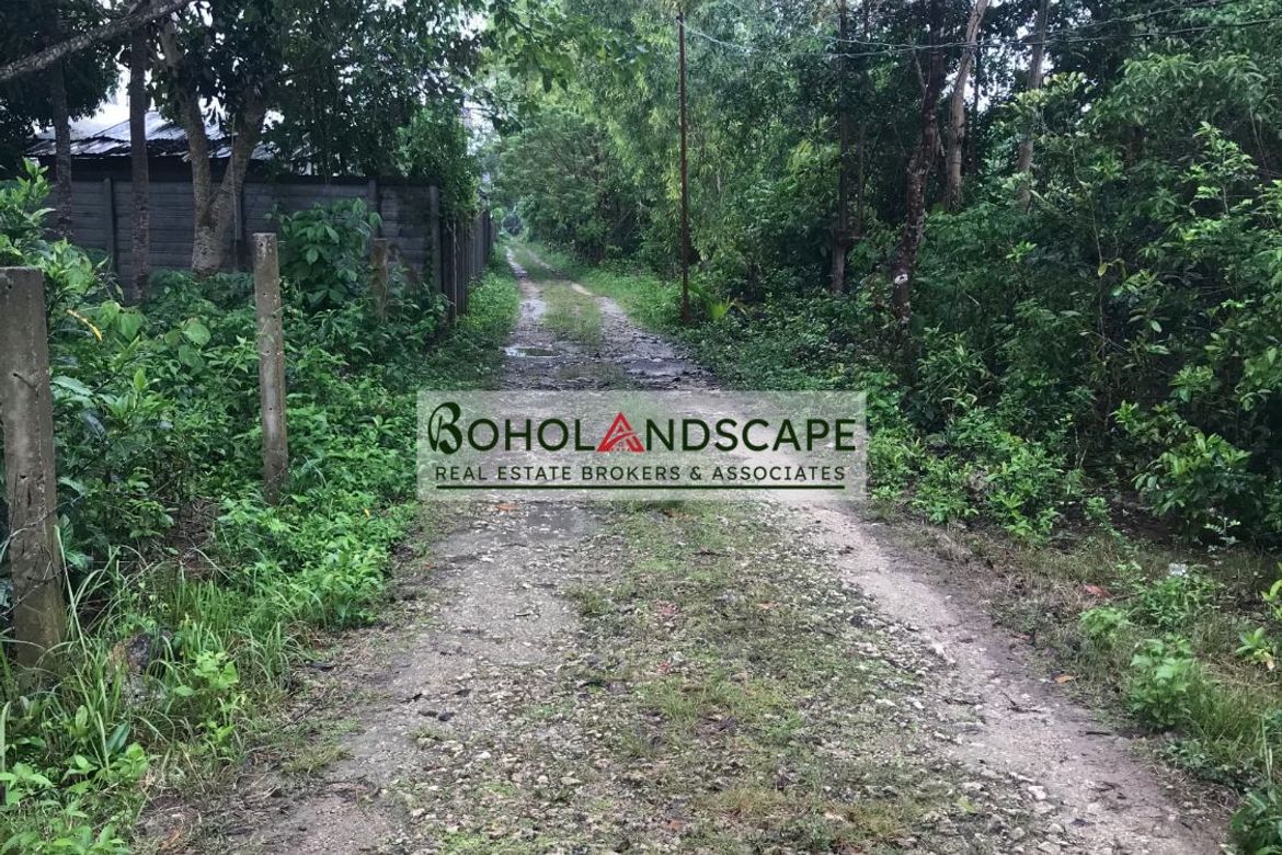2 Bedroom House for Sale in Mayacabac, Dauis, Bohol – photo 8