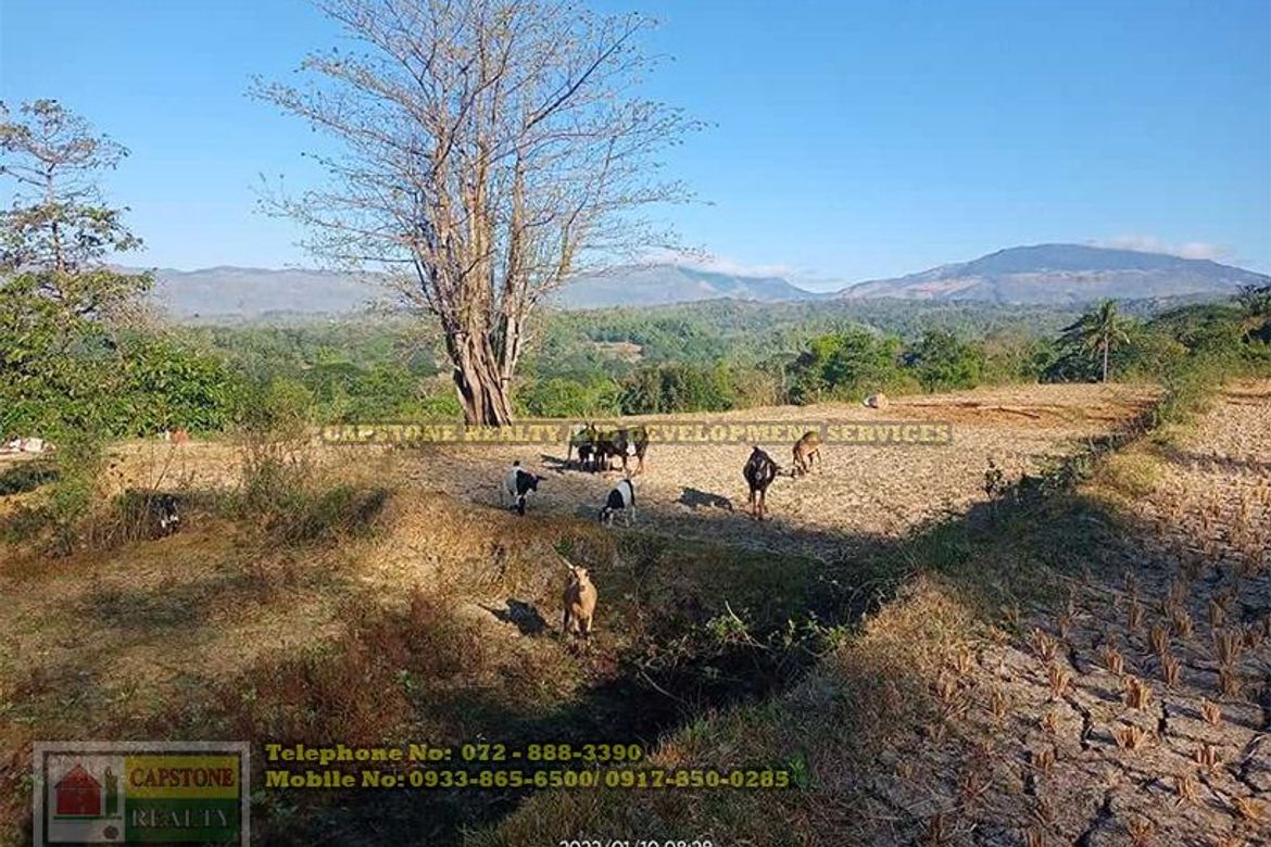 2 Bedroom House for Sale in Poblacion South, San Juan, Abra – photo 2