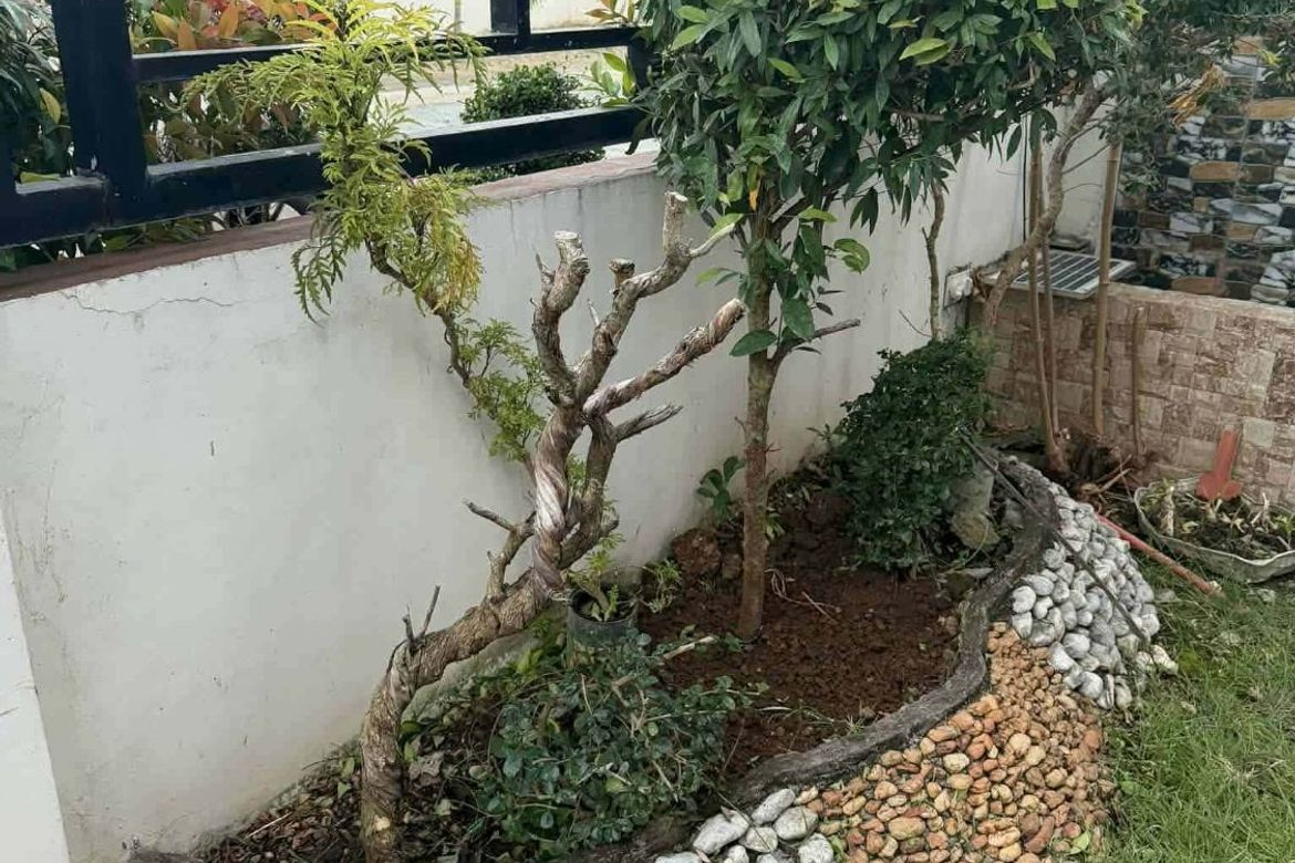 2 Bedroom House for Sale in Sabang, Tuy, Batangas – photo 2