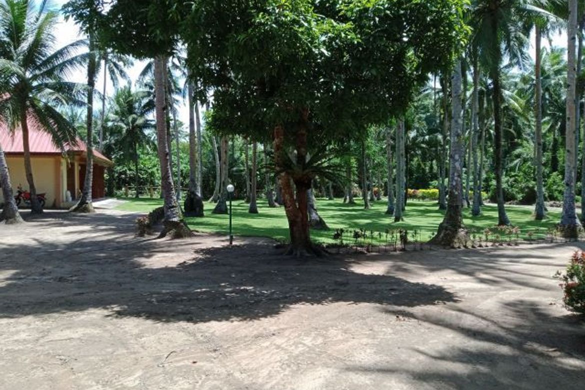 2 Bedroom House for Sale in San Isidro, Bobon, Northern Samar – photo 7