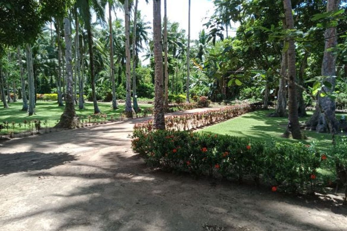 2 Bedroom House for Sale in San Isidro, Bobon, Northern Samar – photo 8