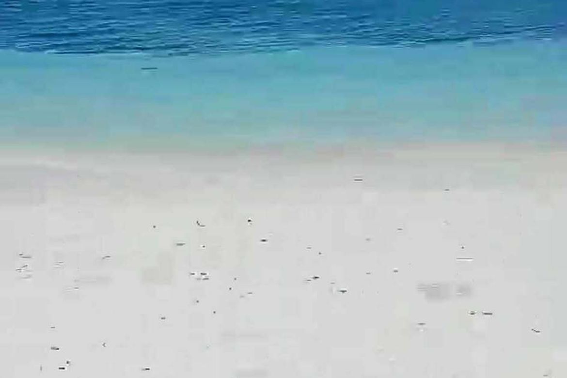2 Bedroom House for Sale in San Remigio, Samal, Davao del Norte – photo 3