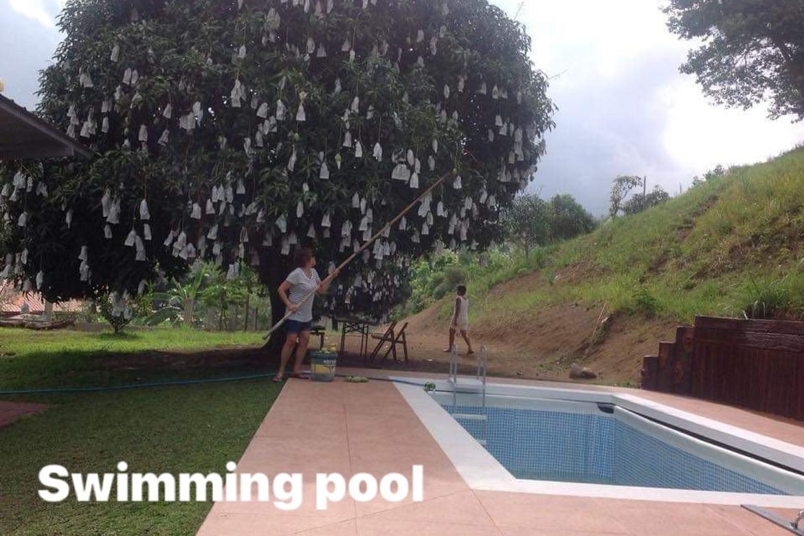 2 Bedroom House for Sale in Santo Domingo, Batangas City, Batangas – photo 3