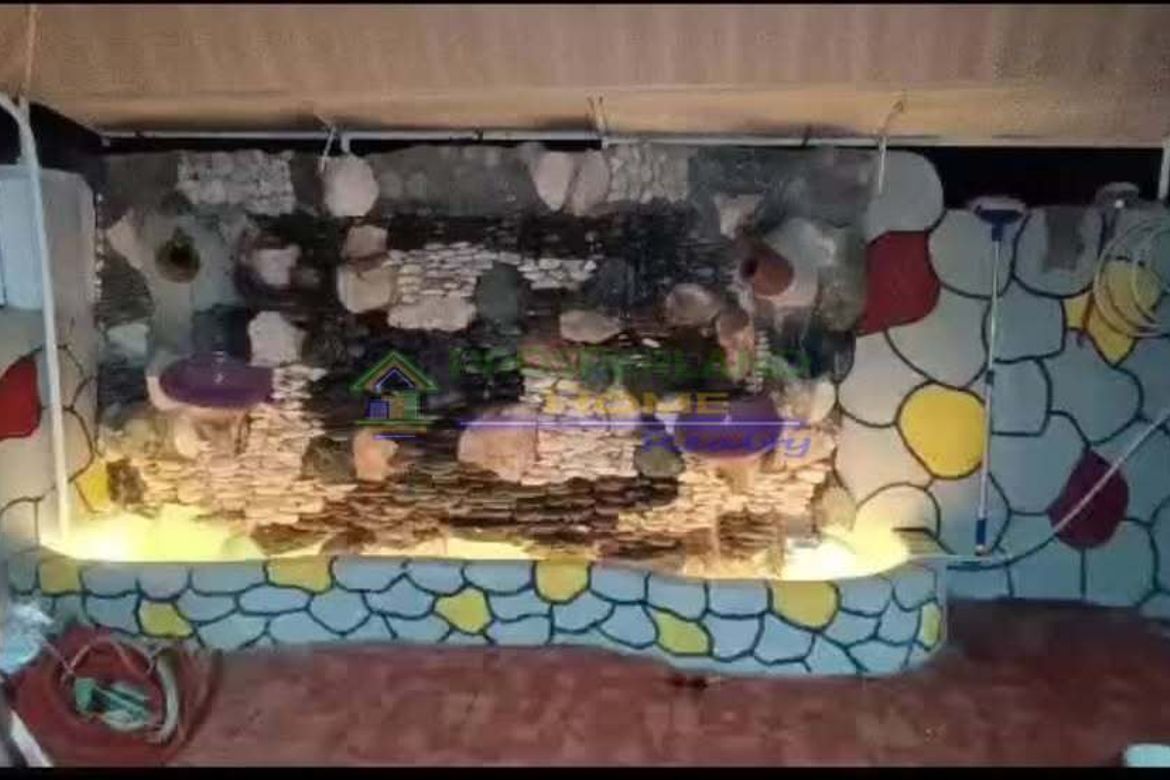 2 Bedroom House for Sale in Santo Domingo, Cainta, Rizal – photo 7