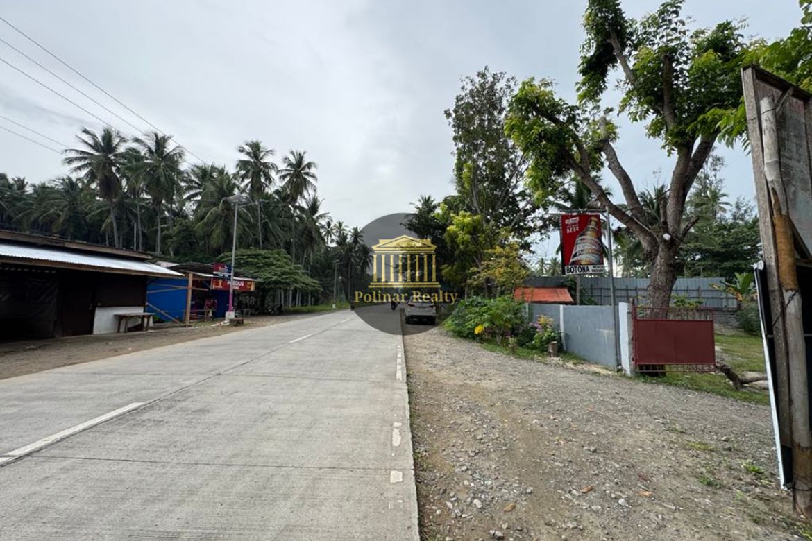 20 Bedroom House for Sale in Dahican, Mati, Davao Oriental – photo 3