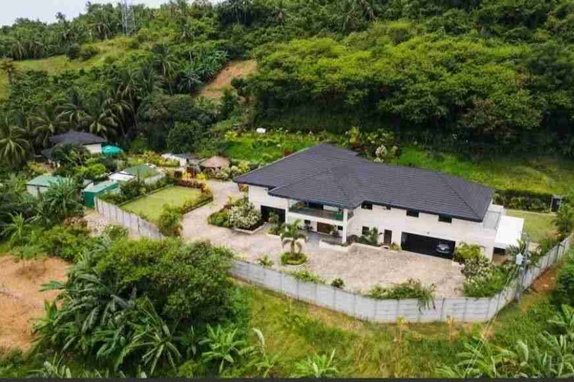 20 Bedroom House for Sale in Manlayag, Danao, Cebu – photo 4