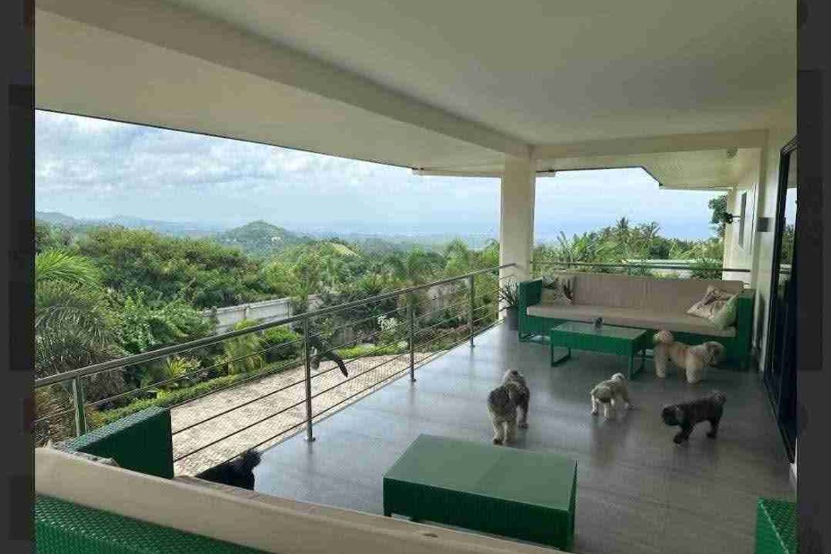 20 Bedroom House for Sale in Manlayag, Danao, Cebu – photo 7