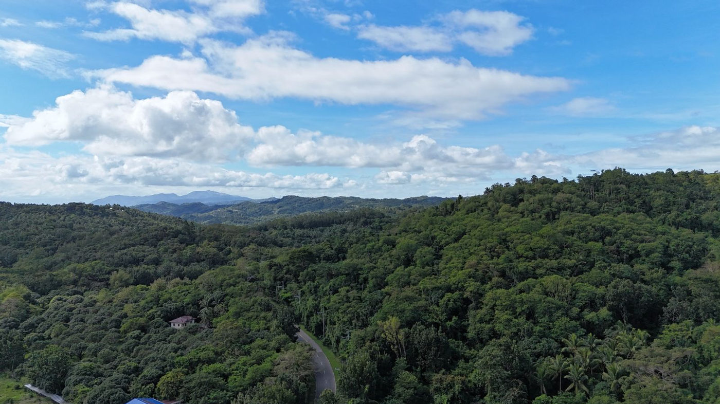 22.7-Hectare Fruit-Bearing Agricultural Land for Sale along Marilaque Highway, Sampaloc, Tanay – photo 15