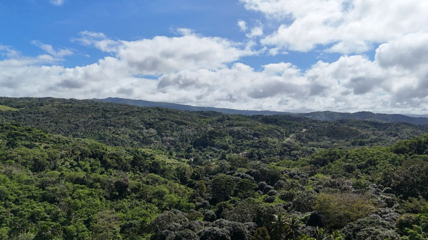 22.7-Hectare Fruit-Bearing Agricultural Land for Sale along Marilaque Highway, Sampaloc, Tanay – photo 22