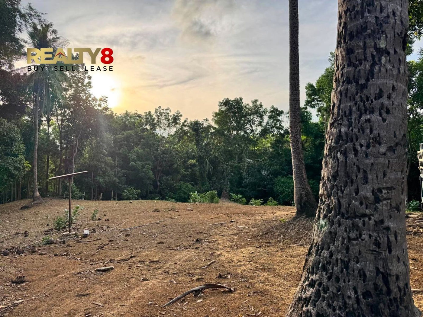 3.7-Hectare Countryside Property for Sale in Barangay 3, Magallanes, Cavite – photo 2