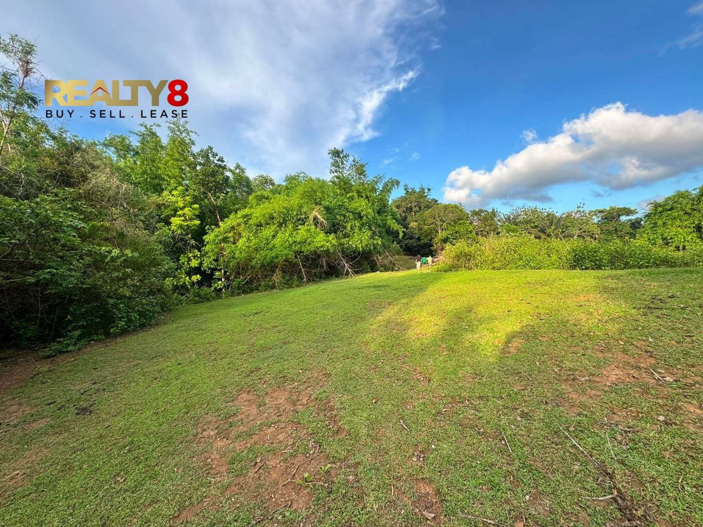 3.7-Hectare Countryside Property for Sale in Barangay 3, Magallanes, Cavite – photo 5