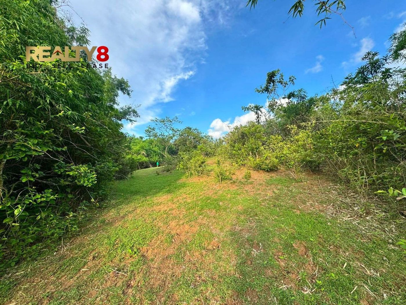 3.7-Hectare Countryside Property for Sale in Barangay 3, Magallanes, Cavite – photo 7