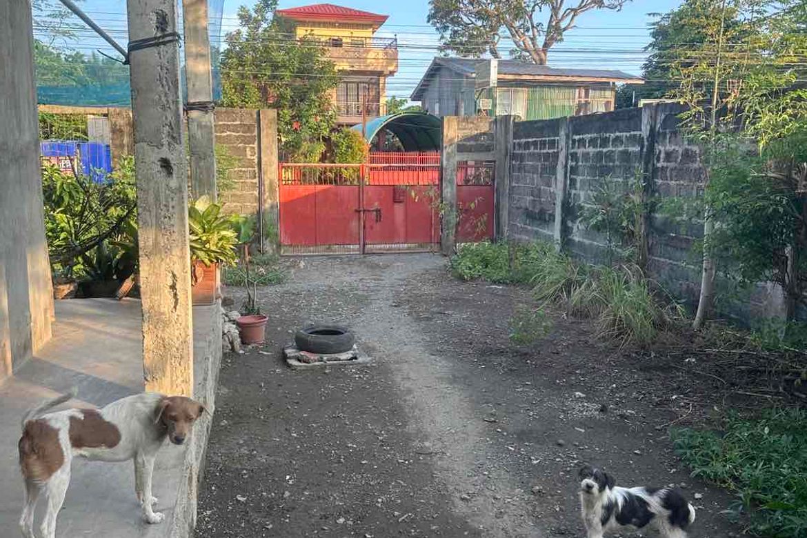3 Bedroom Commercial for Sale in Matina Aplaya, Davao City, Davao del Sur – photo 3