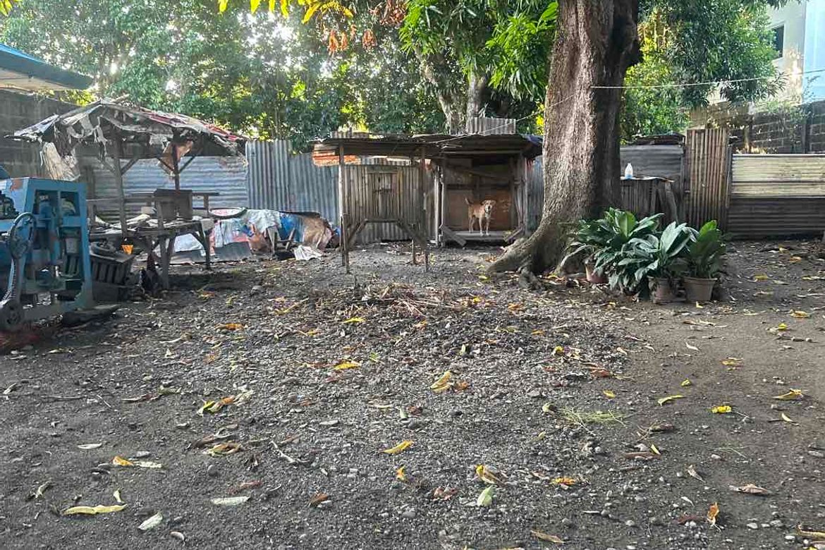 3 Bedroom Commercial for Sale in Matina Aplaya, Davao City, Davao del Sur – photo 4