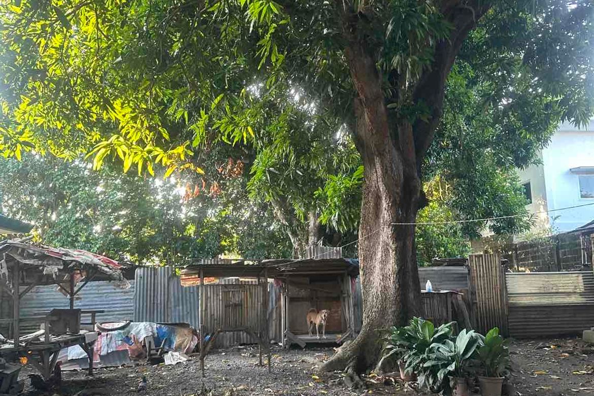 3 Bedroom Commercial for Sale in Matina Aplaya, Davao City, Davao del Sur – photo 8