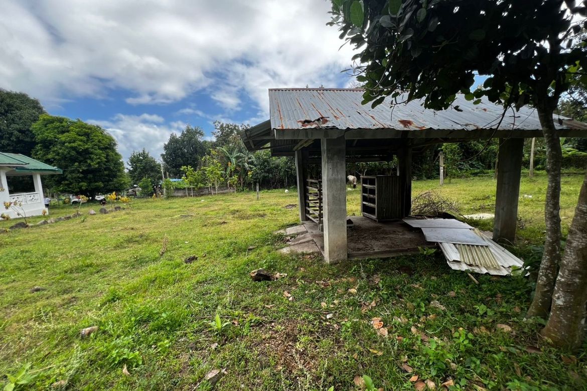 3 Bedroom House for Sale in Balayagmanok, Bacong, Negros Oriental – photo 8
