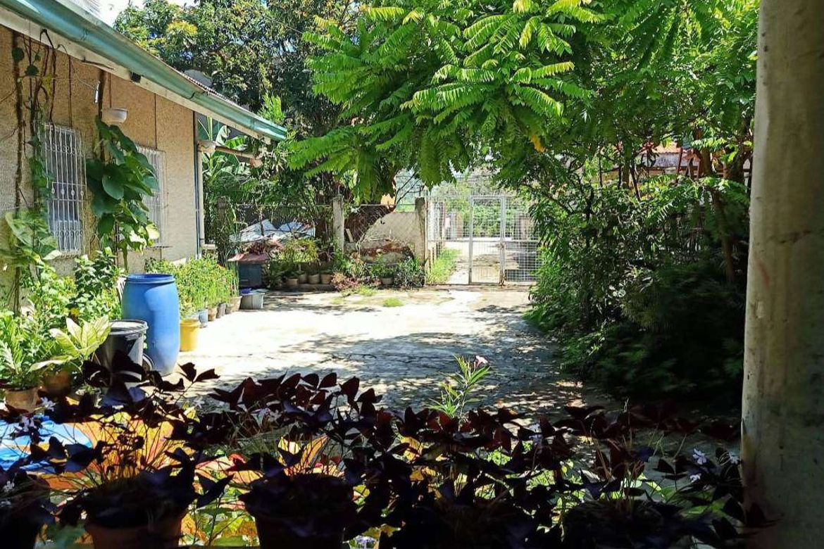 3 Bedroom House for Sale in Cambayog, Compostela, Cebu – photo 5