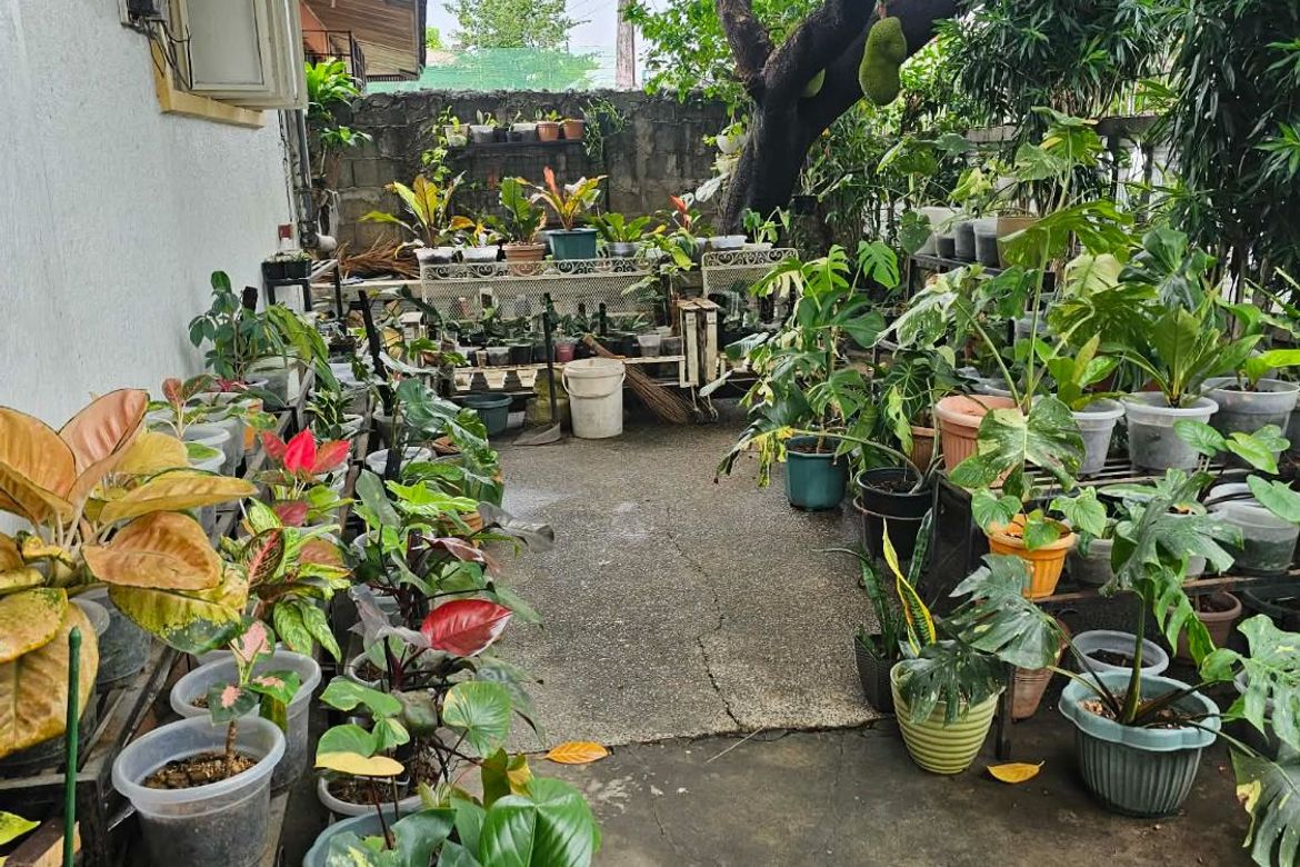 3 Bedroom House for Sale in Don Bosco, Parañaque, Metro Manila – photo 3