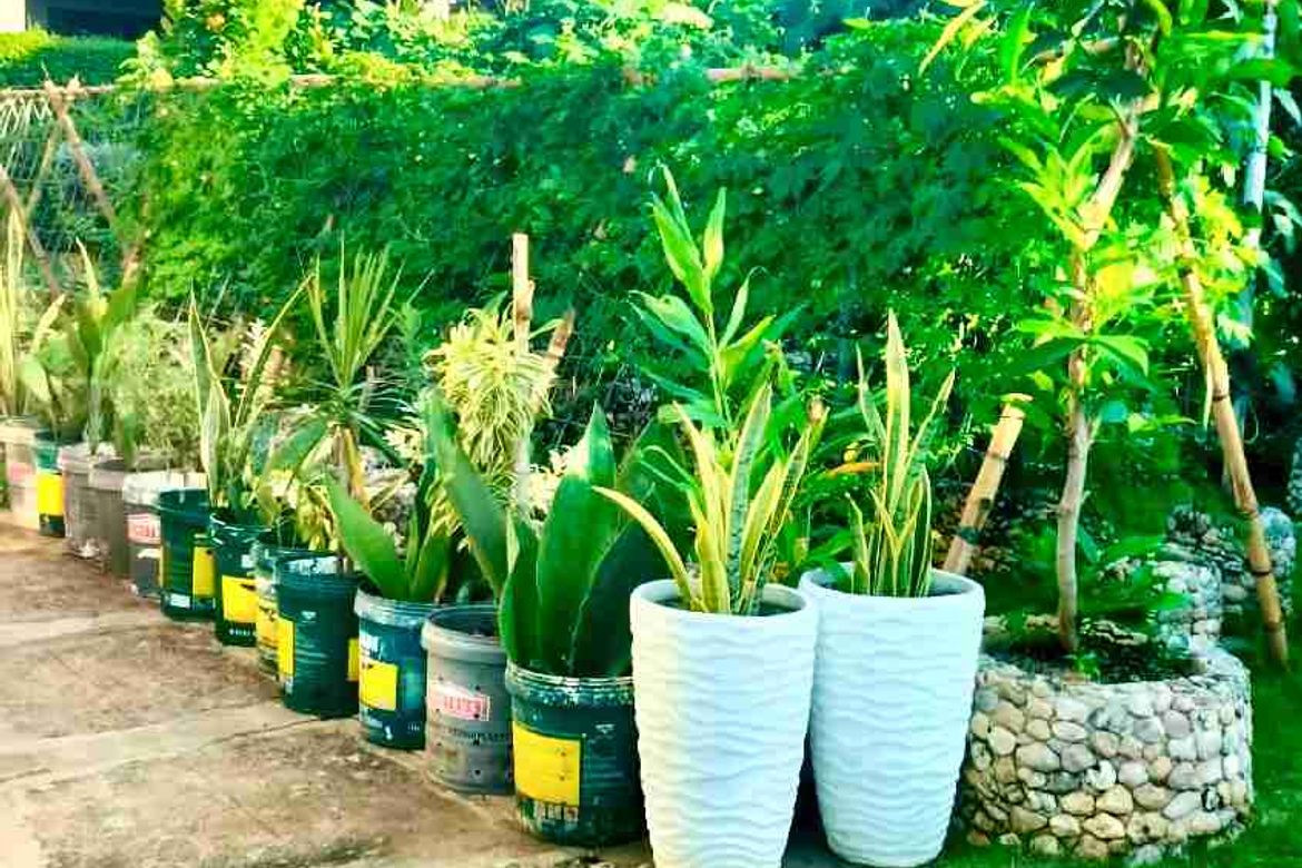 3 Bedroom House for Sale in Guinsay, Danao, Cebu – photo 5