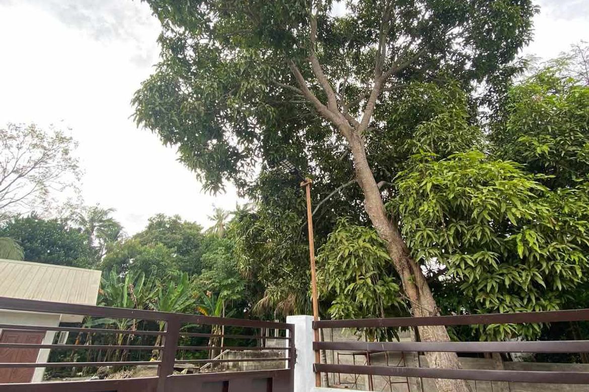 3 Bedroom House for Sale in Landican, Baclayon, Bohol – photo 6